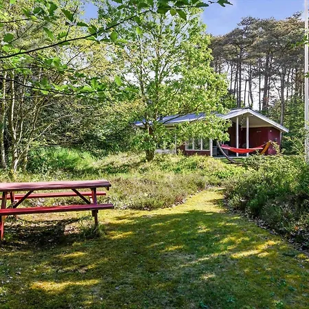 Bv311-blavand-hedevej-39 Tatil Evi *