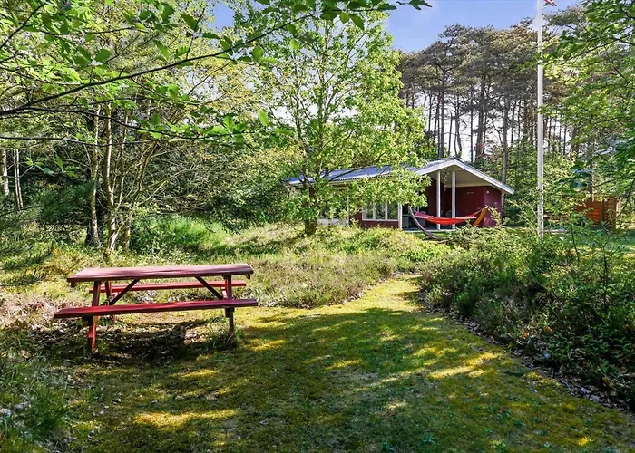 Prázdninový dům Bv311-blavand-hedevej-39